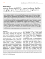 Incorrect dosage of IQSEC2, a known intellectual disability and epilepsy gene, disrupts dendritic spine morphogenesis