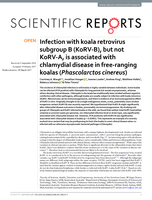 Infection with koala retrovirus subgroup B (KoRV-B), but not KoRV-A, is associated with chlamydial disease in free-ranging koalas (Phascolarctos cinereus)