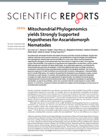 Mitochondrial Phylogenomics yields Strongly Supported Hypotheses for Ascaridomorph Nematodes