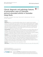 Clinical, diagnostic and pathologic features of presumptive cases of Chlamydia pecorum-associated arthritis in Australian sheep flocks