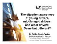 The situation awareness of young drivers, middle-aged drivers, and older drivers: same but different?