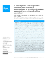 A transcriptomic scan for potential candidate genes involved in osmoregulation in an obligate freshwater palaemonid prawn (Macrobrachium australiense)