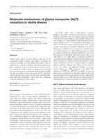 Molecular mechanisms of glycine transporter GlyT2 mutations in startle disease