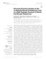 Structure/Function Studies of the α4 Subunit Reveal Evolutionary Loss of a GlyR Subtype Involved in Startle and Escape Responses