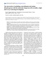 The interaction of unfolding α-lactalbumin and malate dehydrogenase with the molecular chaperone αB-crystallin: A light and X-ray scattering investigation