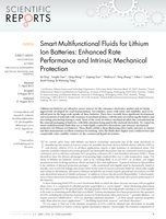 Smart multifunctional fluids for lithium ion batteries: Enhanced rate performance and intrinsic mechanical protection