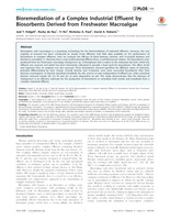 Bioremediation of a complex industrial effluent by biosorbents derived from freshwater macroalgae