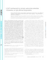 LCAT synthesized by primary astrocytes esterifies cholesterol on glia-derived lipoproteins