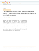 Distinct Campylobacter fetus lineages adapted as livestock pathogens and human pathobionts in the intestinal microbiota