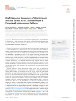 Draft Genome Sequence of Roseomonas mucosa Strain AU37, Isolated from a Peripheral Intravenous Catheter