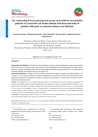 The relationship between phylogenetic groups and antibiotic susceptibility patterns of Escherichia coli strains isolated from feces and urine of patients with acute or recurrent urinary tract infection