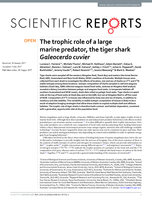 The trophic role of a large marine predator, the tiger shark Galeocerdo cuvier