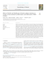 Effects of GluN2A and GluN2B gain-of-function epilepsy mutations on synaptic currents mediated by diheteromeric and triheteromeric NMDA receptors