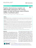 Putative chemosensory receptors are differentially expressed in the sensory organs of male and female crown-of-thorns starfish, Acanthaster planci