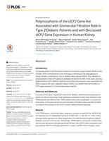 Polymorphisms of the UCP2 gene are associated with glomerular filtration rate in type 2 diabetic patients and with decreased UCP2 gene expression in human kidney