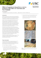 Effect of sapstain on log prices: a survey of buyers and sellers in Australia and New Zealand. Forest Industries Research Centre Bulletin 7: January 2019