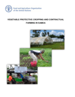Vegetable Protective Cropping and Contractual Farming in Samoa