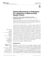 Distinct Mechanisms of Pathogenic DJ-1 Mutations in Mitochondrial Quality Control