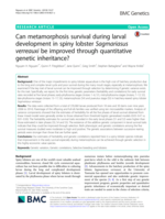 Can metamorphosis survival during larval development in spiny lobster Sagmariasus verreauxi be improved through quantitative genetic inheritance?