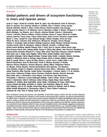 Global patterns and drivers of ecosystem functioning in rivers and riparian zones