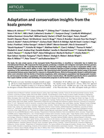 Adaptation and conservation insights from the koala genome