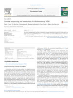 Genome sequencing and annotation of Cellulomonas sp. HZM