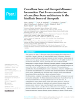Cancellous bone and theropod dinosaur locomotion. Part I—an examination of cancellous bone architecture in the hindlimb bones of theropods