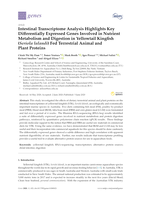 Intestinal Transcriptome Analysis Highlights Key Differentially Expressed Genes Involved in Nutrient Metabolism and Digestion in Yellowtail Kingfish (Seriola lalandi) Fed Terrestrial Animal and Plant Proteins