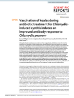 Vaccination of koalas during antibiotic treatment for Chlamydia-induced cystitis induces an improved antibody response to Chlamydia pecorum