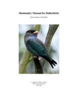 Husbandry Manual for Dollarbirds (Eurystomus orientalis)