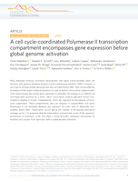 A cell cycle-coordinated Polymerase II transcription compartment encompasses gene expression before global genome activation