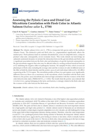 Assessing the Pyloric Caeca and Distal Gut Microbiota Correlation with Flesh Color in Atlantic Salmon (Salmo salar L., 1758)