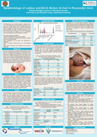 Epidemiology of Labour and Birth Before Arrival in Paramedic Care