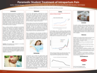 Paramedic Student Treatment of Intrapartum Pain