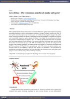 Love bites – Do venomous arachnids make safe pets?