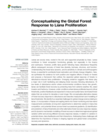 Conceptualising the Global Forest Response to Liana Proliferation