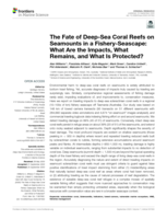 The Fate of Deep-Sea Coral Reefs on Seamounts in a Fishery-Seascape: What Are the Impacts, What Remains, and What Is Protected?