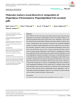 Molecular markers reveal diversity in composition of Megastigmus (Hymenoptera: Megastigmidae) from eucalypt galls