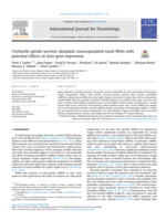 Trichinella spiralis secretes abundant unencapsulated small RNAs with potential effects on host gene expression