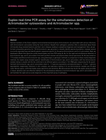 Duplex real-time PCR assay for the simultaneous detection of Achromobacter xylosoxidans and Achromobacter spp