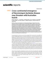 Cross‑continental emergence of Nannizziopsis barbatae disease may threaten wild Australian lizards