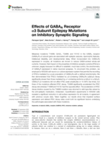 Effects of GABAA Receptor α3 Subunit Epilepsy Mutations on Inhibitory Synaptic Signaling