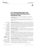 KV7 Channel Expression and Function Within Rat Mesenteric Endothelial Cells