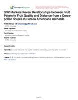 SNP Markers Reveal Relationships between Fruit Paternity, Fruit Quality and Distance from a Crosspollen Source in Persea Americana Orchards