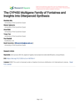 The CYP450 Multigene Family of Fontainea and Insights Into Diterpenoid Synthesis