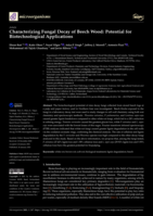 Characterizing Fungal Decay of Beech Wood: Potential for Biotechnological Applications