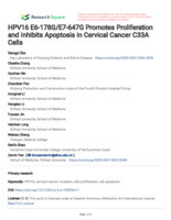 HPV16 E6-178G/E7-647G Promotes Proliferation and Inhibits Apoptosis in Cervical Cancer C33A Cells