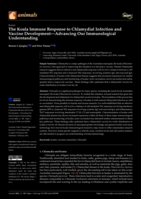 The Koala Immune Response to Chlamydial Infection and Vaccine Development—Advancing Our Immunological Understanding