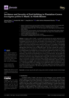 Incidence and Severity of End-Splitting in Plantation-Grown Eucalyptus pellita F. Muell. in North Borneo
