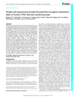 Single-cell sequencing reveals the potential oncogenic expression atlas of human iPSC-derived cardiomyocytes